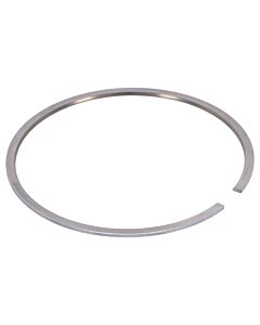 Zuigerveer (ING�R I KOLV 1306351)