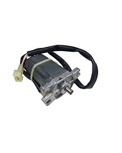 electric motor