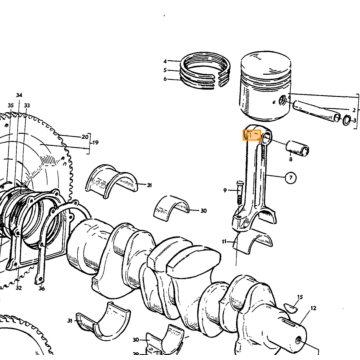 Nokkenas B20B  zie 1218579